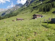 Die Alp Gampelen auf dem Haldi soll im Sommer wirtschaftlich besser bewirtschaftet werden.Bild: Büro Alpe