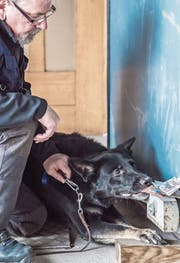 Franz-Xaver Häfliger mit seinem Notengeldspürhund Bella. (Bild: Nadia Schärli (Sempach, 10. Januar 2018))