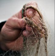 Besonderer Fund aus der Tiefe: eine kleine Groppe. (Bild: Romano Cuonz (Sarnen, 12. September 2017))