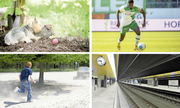 Diese vier Bilder zeigen Redensarten, die Du sicher schon einmal gehört hast. Erkennst Du sie? (Lösungen am Ende des Artikels)