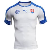 Trikot der Slowakei (Bild: zvg)