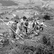 Ein Bild einer Reportage über Heim- und Verdingkinder der «Schweizer Illustrierten Zeitung». (Bild: Walter Studer/Keystone (Gürbetal, Bern, 1954))