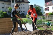 Niklas Steffen (links) und Shaiesan Poobalasingam füllen das Hochbeet mit Erde. (Bild: Matthias Piazza (Ennetbürgen, 17. Mai 2017))