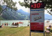 30 Grad warm war der Lauerzersee am Donnerstag. (Bild: Leserbild Bote der Urschweiz)