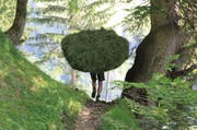 Sieht schwer aus, ist es auch: Ein solcher «Pinggel», wie die Wildheuer ihre Heuballen nennen, wiegt zwischen 50 und 60 Kilogramm. (Bild: Elisabeth Flüeler)