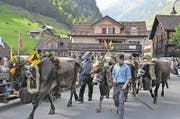 Er ist der eigentliche Anlass für das «Hiäsigä»: Der Alpabzug. (Bild: Josef Schuler (Isenthal, 24. September 2017))