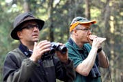 Wild im Visier: Jäger Urs Schmid (links) beobachtet das Tun am Waldrand – und Fredi Meier versucht, mit einer Mäusepfeife Füchse anzulocken. (Bild Charly Keiser)