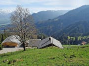 Im Gebiet Lütholdsmatt wären eine zentrale Milchverarbeitung (Käserei) sowie eine Verkaufsstelle vorgesehen. Bild: Robert Hess