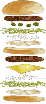 Was ist drin? Wir haben die einzelnen Zutaten des Big Macs einmal genau analysiert (Bild: Illustration: Elena Freydl)