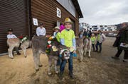 Der Unterägerer Samuel Niederberger ist mit seinem Kalb zum Wettbewerb angetreten. (Bild Roger Zbinden)