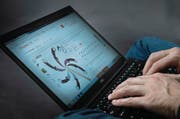 In der Schweiz sind illegale Waffen bei Onlinehändlern wie Ali-Express bestellbar. (Bild: Corinne Glanzmann (9. März 2018))
