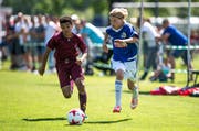 Beim Pfingst-Masters treten nationale und internationale Top-Teams gegeneinander an, wie hier die U13-Mannschaften des FC Luzern (mit Luuk Breedijk) gegen Servette Genf. (Bild: Roger Grütter (Luzern, 3. Juni 2017))