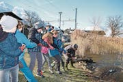 Mit vereinten Kräften wird der Stamm an Land gezogen. (Bild: Marion Wannemacher (Sachseln, 22. März 2018))