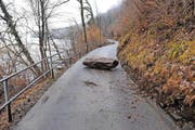 Im Februar 2011 landete ein rechter Brocken auf der Strasse (Bild: Kapo NW)