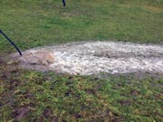 Wasser ergiesst sich über das Wiesland... (Bild: Feuerwehr Lauerz)
