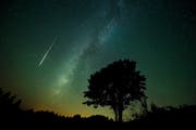 Eine Sternschnuppe des Perseiden-Stroms am 13. August 2015 um 1.34 Uhr, fotografiert auf dem Bramboden (Romoos). (Bild Dominik Wunderli)