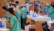 Ein voller Erfolg: die Kastrationsaktion in der Produktionshalle der Schmid Parkett AG.Bild: Adrian Venetz (Alpnach, 12. November 2016)