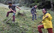 Jan Zehnder, Remy Egloff und Mona Huber (v. l.) während ihres Einsatzes für den Urner Bergwald. (Bild: Remo Infanger (Schattdorf, 9. August 2017))