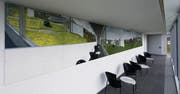 Der spanische Künstler Felix de la Concha hat an der HSG ein grosse Panoramabild von St. Gallen gemalt. Ort des Kunstwerks: Im Weiterbildungszentrum Holzweid der HSG (Holzstrasse 15b, SG) (Bild: Michel Canonica)