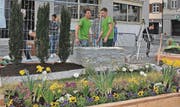 Das Team mit dem Rheintaler Jano Paar von Steger Gartenbau (rechts) hat es nicht unter die besten Drei geschafft. Alle Arbeiten aber wurden von den Experten als hervorragend bezeichnet.