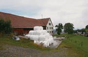 Die Ballen des Anstosses beim ehemaligen Ausflugsrestaurant Solitüde. Das Haus selbst ist in einem schlechten Zustand. (Bild: Malolo Kessler)