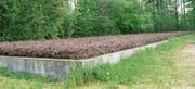 Biofilter im Zwizachwald nordwestlich der TMF Bazenheid. (Bild: PD)