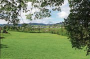 Kurz nach Ganterschwil führt die Route auf die Sonnenseite. Bütschwil umfährt man bis ins Ausserfeld in einem grossen Bogen.