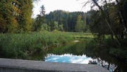 Der verlandete Weiher hinter der Staumauer ist heute eine Auenlandschaft von nationaler Bedeutung. (Bilder: Johannes Rutz)