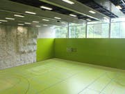 Blick in die neue Dreifachsporthalle im Demuttal. (Bild: pd)