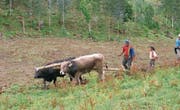 Eines der Geheimnisse der Andenbewohner ist ihr Weltbild. Denn die Landwirtschaft auf über 4000 Meter über Meer ist hart. (Bild: PD)