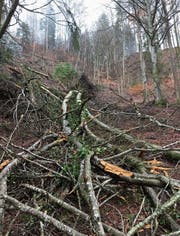 Der Sturm Burglind hat ganze Arbeit geleistet: Der Wanderweg zwischen Oberrindal und Wildberg ist nicht mehr passierbar. (Bild: Bruno Cozzio)