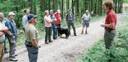 Der Kirchberger Revierförster Marco Signer informiert die Waldbesitzer rund ums Thema Sicherheit. (Bild: Ursula Ammann)