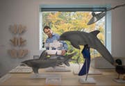 Toni Bürgin, Direktor des Naturmuseums, im neuen Labor, wo Natur und Technik verbunden werden. (Bilder: Benjamin Manser)