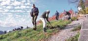 Während die Frauen des Vereins Balger Natur Tulpenzwiebeln setzen, pflanzen die Männer Wildrosen beim neu angelegten Fussweg zum Schloss Grünenstein. (Bild: pd)