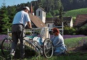 Claudia Dummermuth (rechts) bei einer ihrer letzten Lavendelernten in Oberstammheim im Zürcher Weinland. (Bild: Urs Oskar Keller)