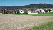 Der Teilzonenplan für die Wiese an der Zollstrasse liegt bis 18. September öffentlich auf. (Bild: Gert Bruderer)