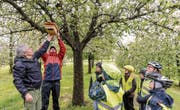 Ende April 2017 hängten die Muoler Primarschüler mit Hilfe von Mathis Müller (links) und Pascal Keller von der Vogelwarte Sempach ihre selbst gezimmerten Nistkästen auf. Kurz darauf besetzten bereits erste Gartenrotschwanz-Paare die Luxushäuser. (Bild: Hanspeter Schiess (27. April 2017))