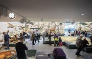 Nach dem ersten Halbjahr 2017 hat das Naturmuseum die Besucherzahlen des Vorjahres bereits fast erreicht. (Bild: Urs Bucher (5. Januar 2017))