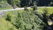 Beim Unfall wurden keine Personen verletzt. (Bild: Kapo AR)