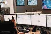 Der Polizeihund «Jasper» als neuer Schwarzfahrer-Schreck. (Bild: Stapo SG)