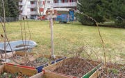 Die Brache Lachen an der Schönaustrasse 70 wartet auf Gäste. (Bild: pd/Christina Ammann)