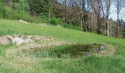 Ein neu angelegter Weiher erweitert die natürliche Vielfalt im Gebiet oberhalb Lüchingens. (Bild: pd)