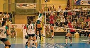 Bis zum Volleyball-Start dauert es noch drei Wochen. (Bild: Archiv/tt)