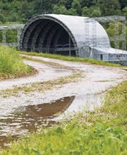Bleiben die Wiesen grün, oder versinkt das Sittertobel im Schlamm? Noch ist es zu früh für eine Prognose. (Bild: Daniel Dorrer)
