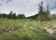 Landschaft formen im Tüfenbachtobel: Der Bach ist wieder zum Vorschein gekommen, während noch viele Jahre lang Aushub in der Deponie abgeladen wird. (Bilder: Michel Canonica)
