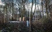Hinter dem Gymnasium Untere Waid stehen bereits Visiere und Fassadenmuster für das Bienenhaus. (Bild: Ralph Ribi)