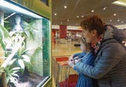 Marion Baumgartner und Tochter Anna sehen sich fasziniert die vielen exotischen Tiere an. (Bild: Benjamin Schmid)