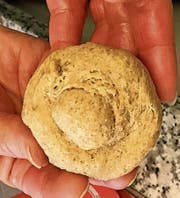 Eine perfekt geformte Brioche. (Bild: PD)