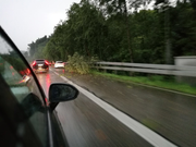 Auf der A1 vor Rheineck ist ein Baum auf ein Auto gestürzt. (Bild: Arcangelo Balsamo)