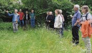 Vögel, Insekten, Fledermäuse, Igel usw. finden zwischen der Oberstufe und dem Friedhof Lebensräume, wie Lehrer Markus Eugster (l.) aufzeigte. (Bild: Kathrin Meier-Gross)